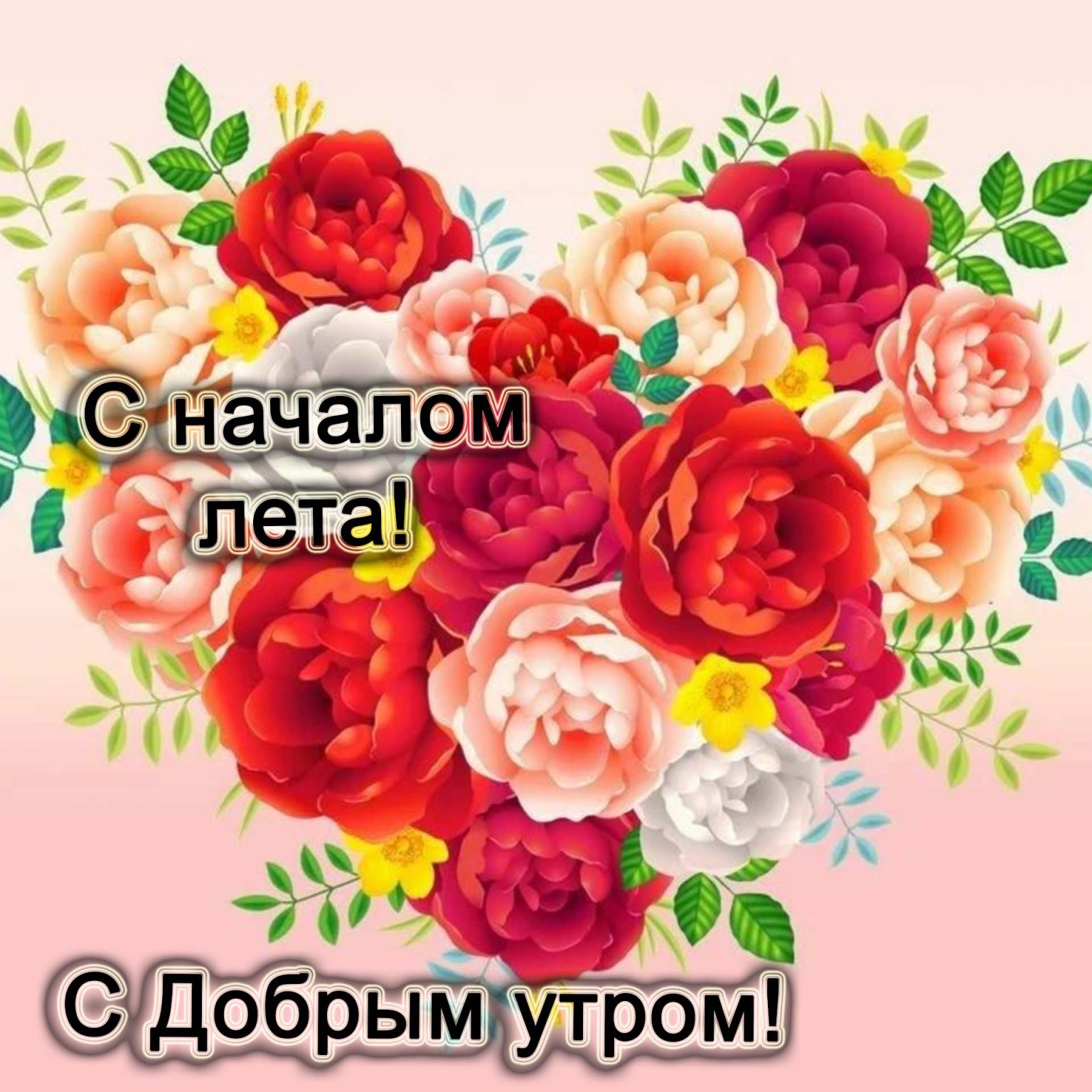 Летняя коллекция картинки